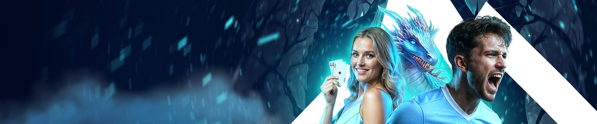 Promotional banner
