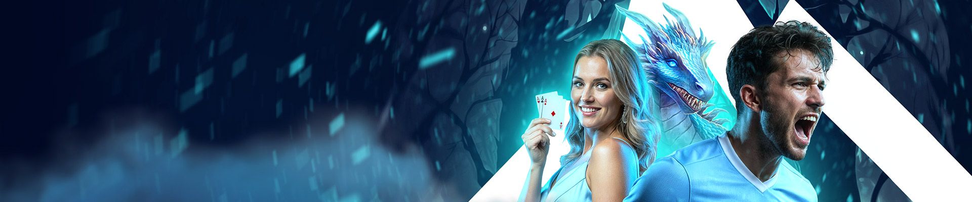 Promotional banner