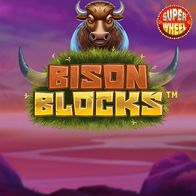Bison Blocks
