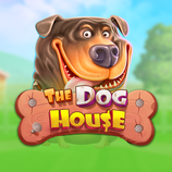 The Dog House