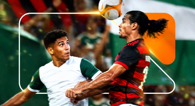Palmeiras vs Flamengo