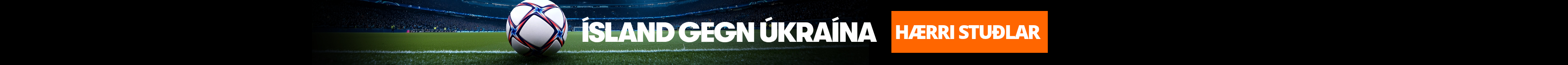 Ísland gegn Úkraína