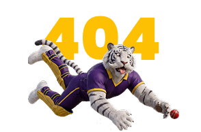 404 error