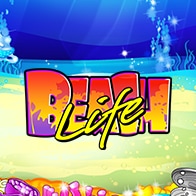 Beach Life
