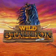 Wild Stallion