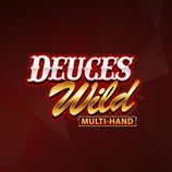 Deuces Wild Multi-Hand