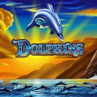 Dolphins