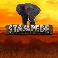 Stampede