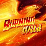 Burning Wild