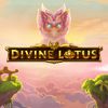 Divine Lotus