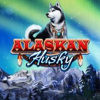 Alaskan Husky