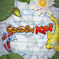 Golden koi