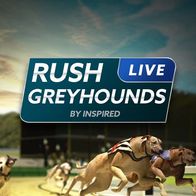 Rush Greyhounds Live