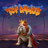 Top Dawgs