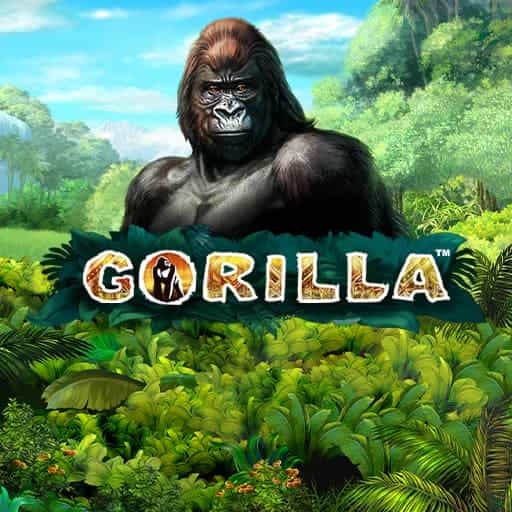 Gorilla – Novomatic (Greentube)