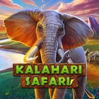 Kalahari Safari