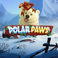 Polar Paws