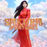 Sakura Fortune