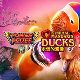 Power Prizes Eternal Mandarin Ducks