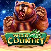 Wild Country