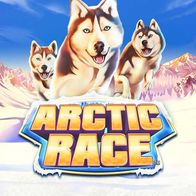 Arctic Race