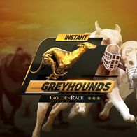 Grey Hounds OD