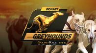 Grey Hounds OD
