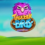 Power Zones: Thunderbirds