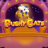Pushy Cats