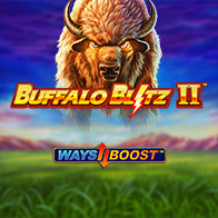 Buffalo Blitz II