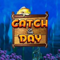 Catch of the Day
