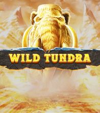 Wild Tundra