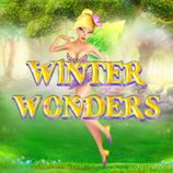 Winter Wonders