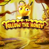 Follow the Honey