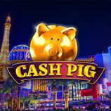Cash Pig