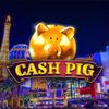 Cash Pig