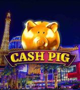 Cash Pig