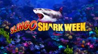 Slingo Shark Week