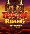 Bison Rising Megaways Jackpot King