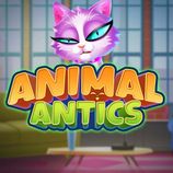 Animal Antics
