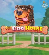 The Dog House