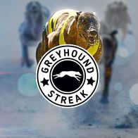 Greyhound Streak