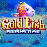 Gold Fish Feeding Time