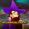 Wonder Tree