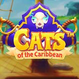 Cats Of The Caribbean