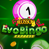 Blossom Evobingo Express