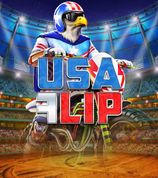 USA Flip