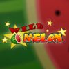 Wild Melon