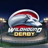 Wildhound Derby