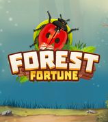 Forest Fortune